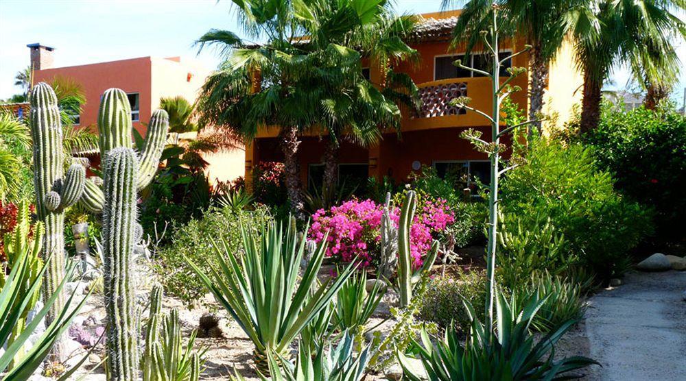 Hotel Posada La Poza Todos Santos Exteriör bild